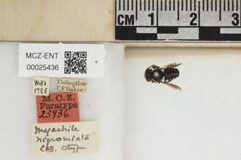 Media type: image;   Entomology 25436 Aspect: Labels